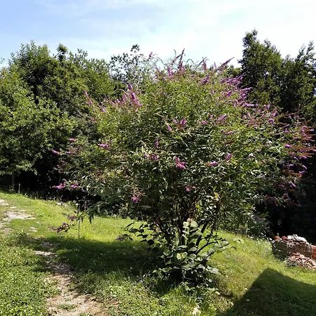Ca' Rionda - Antica Osiglia