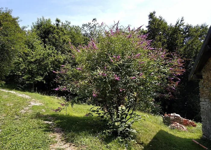 Ca' Rionda - Antica Osiglia
